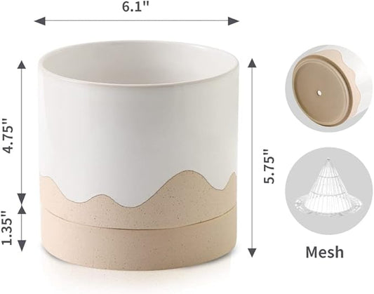 Nihow Ceramic Plant Pot: 6 Inch Planter with Drainage Hole & Saucer for Indoor & Outdoor Plants - Cylinder Round Flower Pot for Succulent/Herbs/Violets - White & Nature