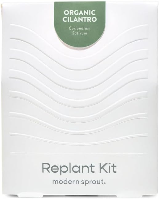 Modern Sprout Mason Garden Jar + Replant Kit - Self-Watering Hydroponics Growing System Kit w/Organic Herb Seeds - Jar Planter for Indoor Herb Garden - Seed Starter - Home Decor Gifting - Cilantro