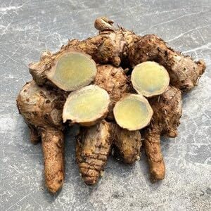 Green Turmeric Live Plant - (Curcuma aeruginosa) - Rare Medicinal Herb, Vibrant Pink Flowers, Ideal for Tropical Gardens (2 Green Turmeric Cups)
