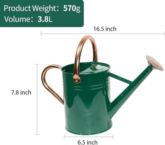 Steel Watering Can Sliver Galvanized Steel Watering Can with Copper Accents,Removable Rosette-Diffuser,One-Gallon Green
