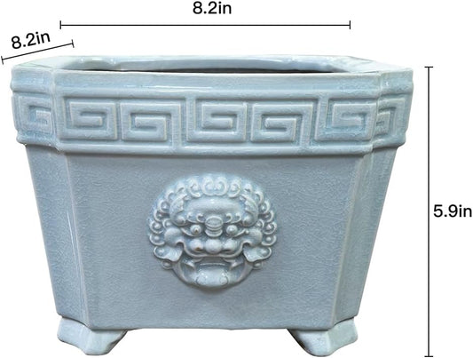 8-Inch Large Bonsai Pot Light Blue Water Bonsai Tree Ceramic Flower Pot Handmade