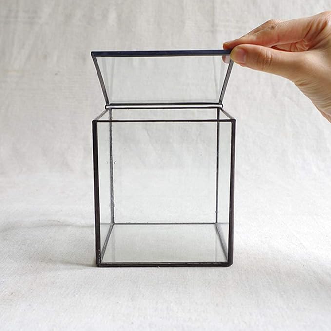 Small Square Glass Terrarium with Lid,Geometric Clear Box for Indoor Plants,Black Little Handmade Planter Pot for Succulents,Moss and Air Plant Fern,Home Garden Decor,4.3 x 4.3 x 4.7inch