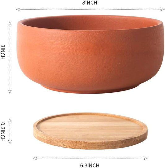 SQOWL Terracotta Planter Pot for Succulent 8 Inch Pottery Round Planter Cactus Clay Flower Pot with Drain Hole and Bamboo Tray Indoor Outdoor