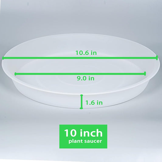 6 Pack of 10 inch Plant Saucer Clear, Heavy Duty Plastic Plant Saucer 10 inch, Durable Plant Tray for Pots, Flower Plant Saucers for Indoors, Plant Trays for Planter 8"/9"/10" (10", Clear)