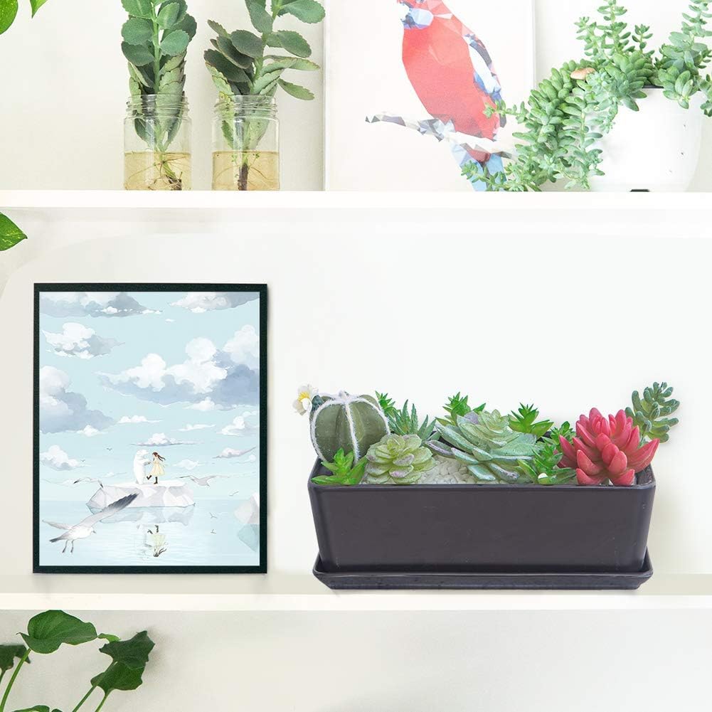 SQOWL 10 inch Ceramic Rectangular Succulent Planter Window Box Flower Planter Pot with Saucer for Indoor Plants Black