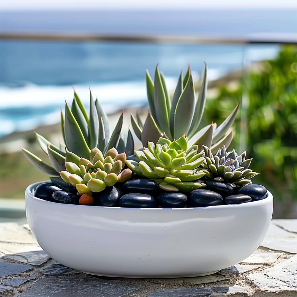 HappyFiller 18 LB Black Pebbles Decorative Polished Terrarium Rocks Stones for Aquarium,Fish Turtle Tank,Fountain,Plants Top Dressing,Cactus,Succulents,Garden Landscaping,0.8-1.6 Inch