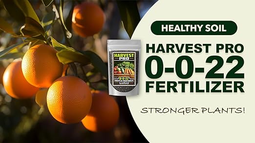 Fertilizer Commerical Grade | Harvest Pro 0-0-22 | 3 Pounds | Custom Professional Mix Blend | Potassium & Magnesium for Fruit, Citrus & Vegetable Plants | Support Bud Development, Flowering & Fruit