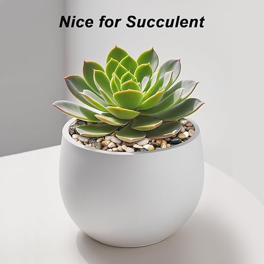 River Rocks, Decorative Ornamental Pebbles,Garden Landscaping Stones,Gravel Filler for Home Decoration Flower Bed Fish Tank Plants Vases Succulents