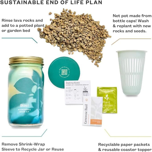 Modern Sprout Mason Garden Jar + Replant Kit - Self-Watering Hydroponics Growing System Kit w/Organic Herb Seeds - Jar Planter for Indoor Herb Garden - Seed Starter - Home Decor Gifting - Basil