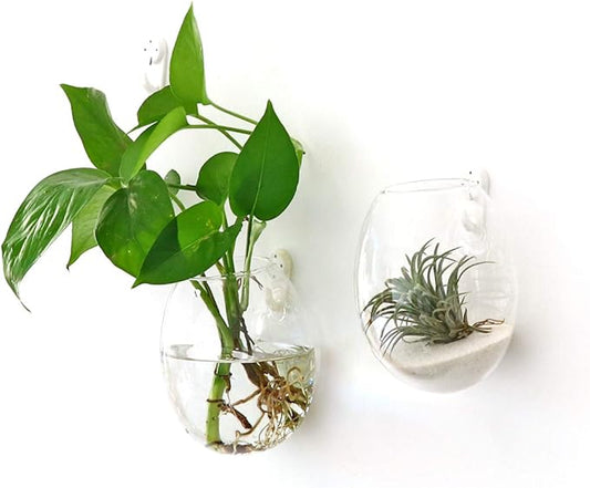 Kingbuy Wall Hanging Propagation Station Glass Plant Terrarium Container Egg Shape for Propagating Hydroponic Plants Home Office Garden Decor Wedding, 2 Pack