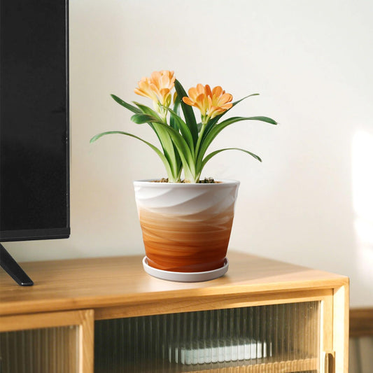 8 Inch Plant Pot, Ceramic Planter with Drainage and Saucer, Ceramic Pots for Plants, Indoor Plant pots, Flower pots,Modern Planter(Khaki + White)