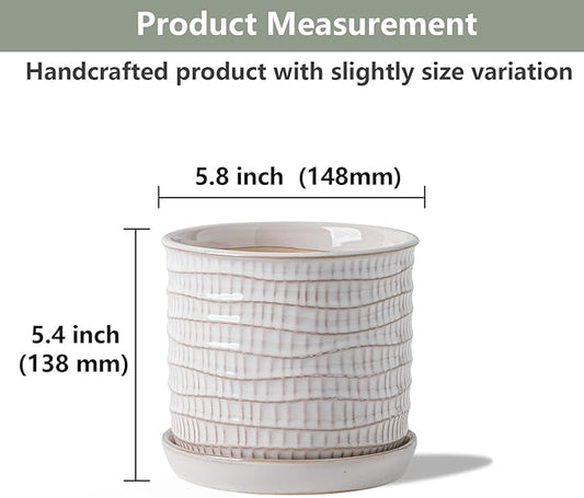 5.8 Inch Plant Pot: Ceramic Planter with Drainage Hole & Saucer - Cream White Flowerpot for Indoor & Outdoor Plants - with Separate Tray for Home & Office - Wave Embossed Design