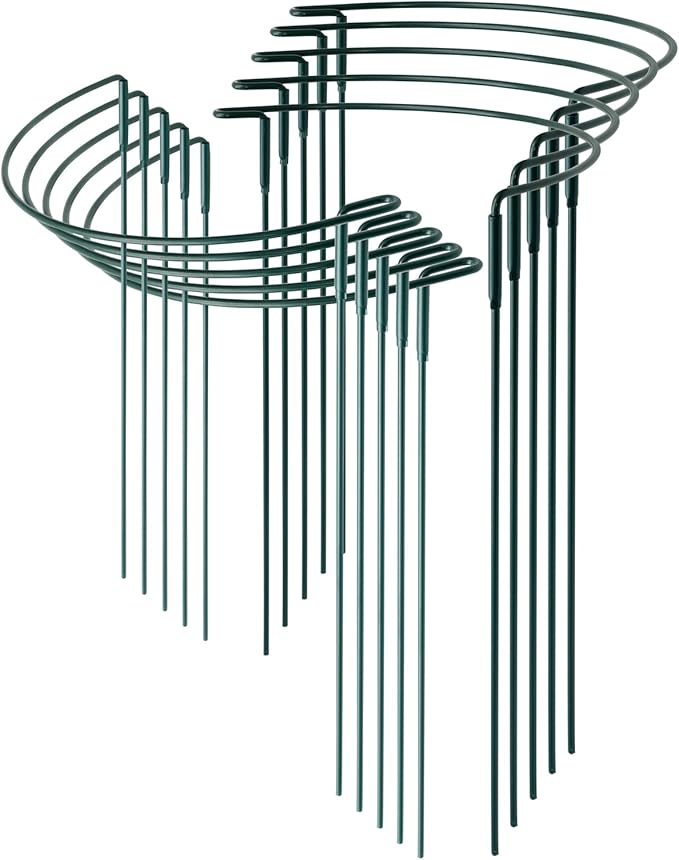 10 Pack Supports Stakes Metal 10" Wide x 24" High Peony Cages and Supports Garden Interlock Half Round Support Ring Border Support Ring Cage for Rose Vine Tomato