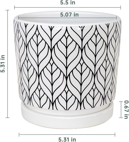 Ton Sin Plant Pots,5.5 Inch White Pots for Indoor Plants with Drainage Holes,Cylinder Flower Pot Ceramic Planters with Saucer,Cactus Succulent Outdoor Garden Pots Set of 4