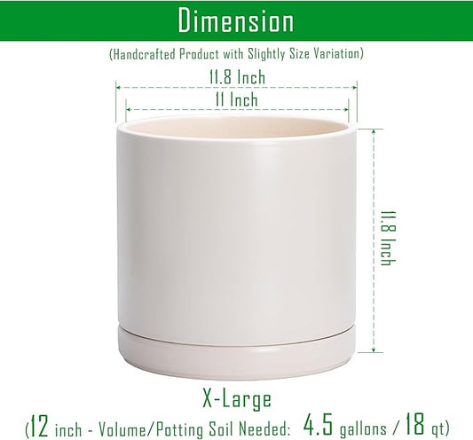 D'vine Dev 12 Inch Ceramic Planter Pot with Drainage Hole and Saucer, Indoor Cylinder Round Planter Pot, Oatmeal, 94-O-F-8