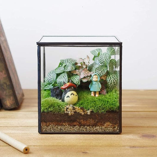 Small Square Glass Terrarium with Lid,Geometric Clear Box for Indoor Plants,Black Little Handmade Planter Pot for Succulents,Moss and Air Plant Fern,Home Garden Decor,4.3 x 4.3 x 4.7inch