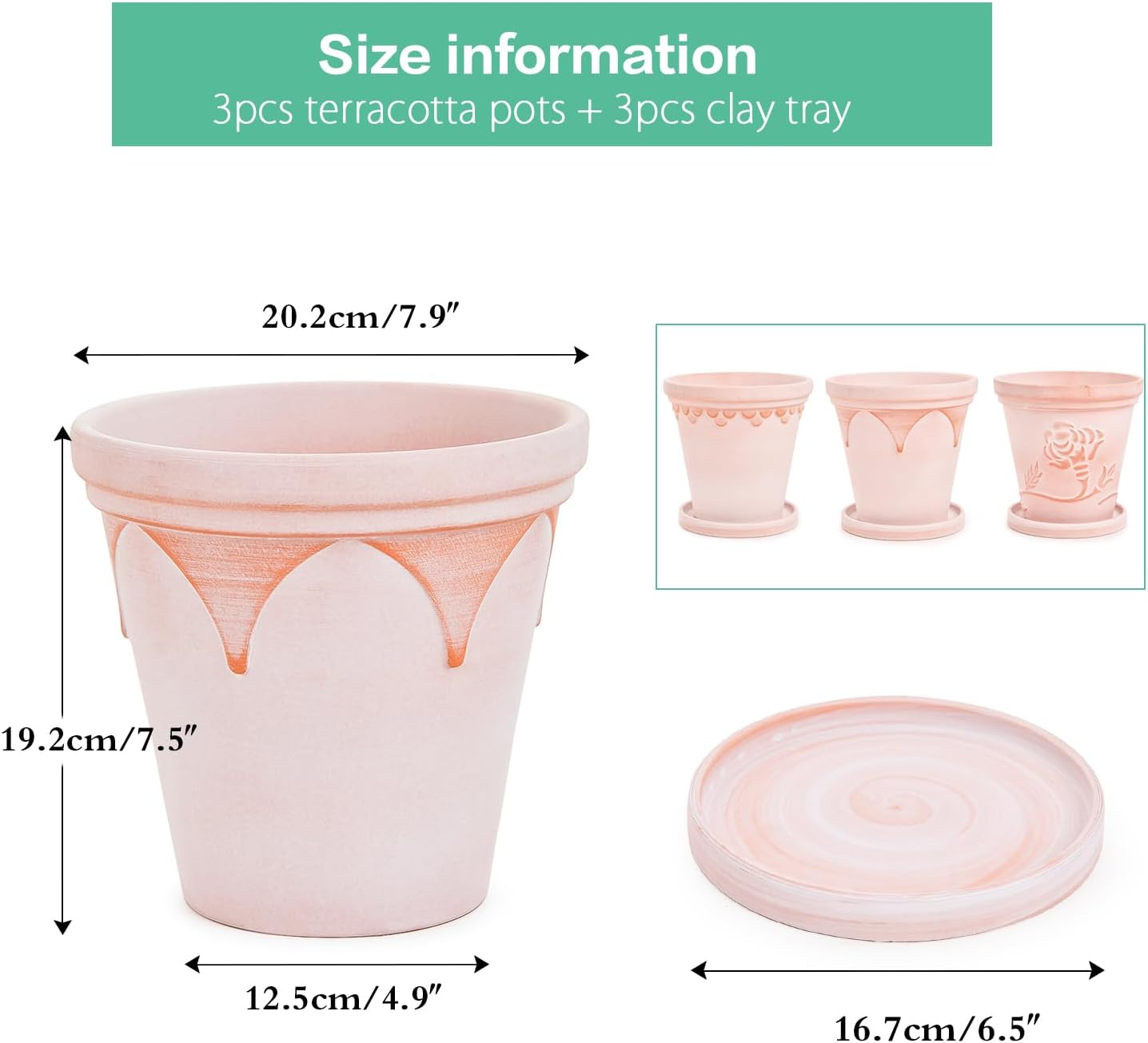 Sungmor Terra Cotta Pot Set - 3 Unique Embossed Clay Planters with Saucer & Drainage, 8 Inch Large & Deep, Pretty Color, Ideal for Orchid, Cactus, Succulent