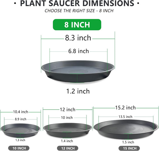 6 Pack 8-Inch Gray Plant Saucer Trays, Durable PP Plastic Pot Bases for Small Medium Planters, Modern Round Flower Pot Water Catcher Plates & Drip Trays for Indoor Plant Care