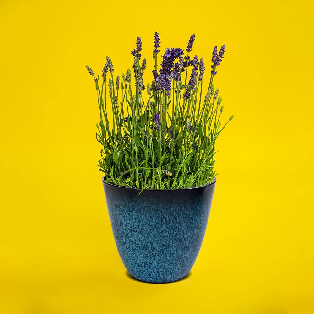 3Pack Plant Pots Durable Decorative Flower Pots,6 Inch Planter Set for Indoor and Outdoor Plants,Flowers,Succulents (Blue)