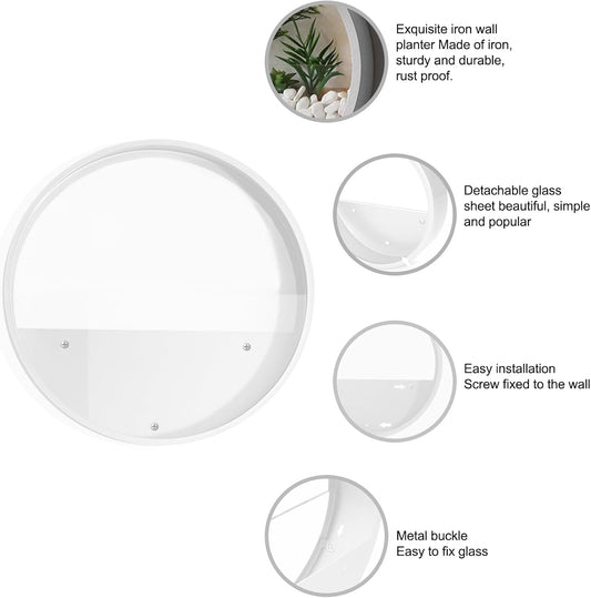 3 Pack Set Wall Planters,Modern Round Glass Wall Planter Succulent Planter Circle Iron Hanging Planter Vase for Herb,Small Cactus Perfect for Balcony, Room and Patio Decor (White)