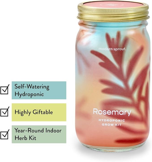 Modern Sprout Mason Garden Jar - Self-Watering Hydroponics Growing System Kit with Organic Herb Seeds - Jar Planter for Indoor Herb Garden - Seed Starter Kit - Home Decor & Gifting - Basil+Rosemary