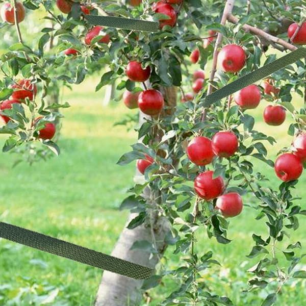 120 Feet Green Tree Tie Strap 1 Inch Wide Tree Support Straps 1,980Lbs Strength Tree Staking Straps Garden Tie for Outdoor Use, Plant Support Ties, Green Tree Tie Rope for Straightening Supplies