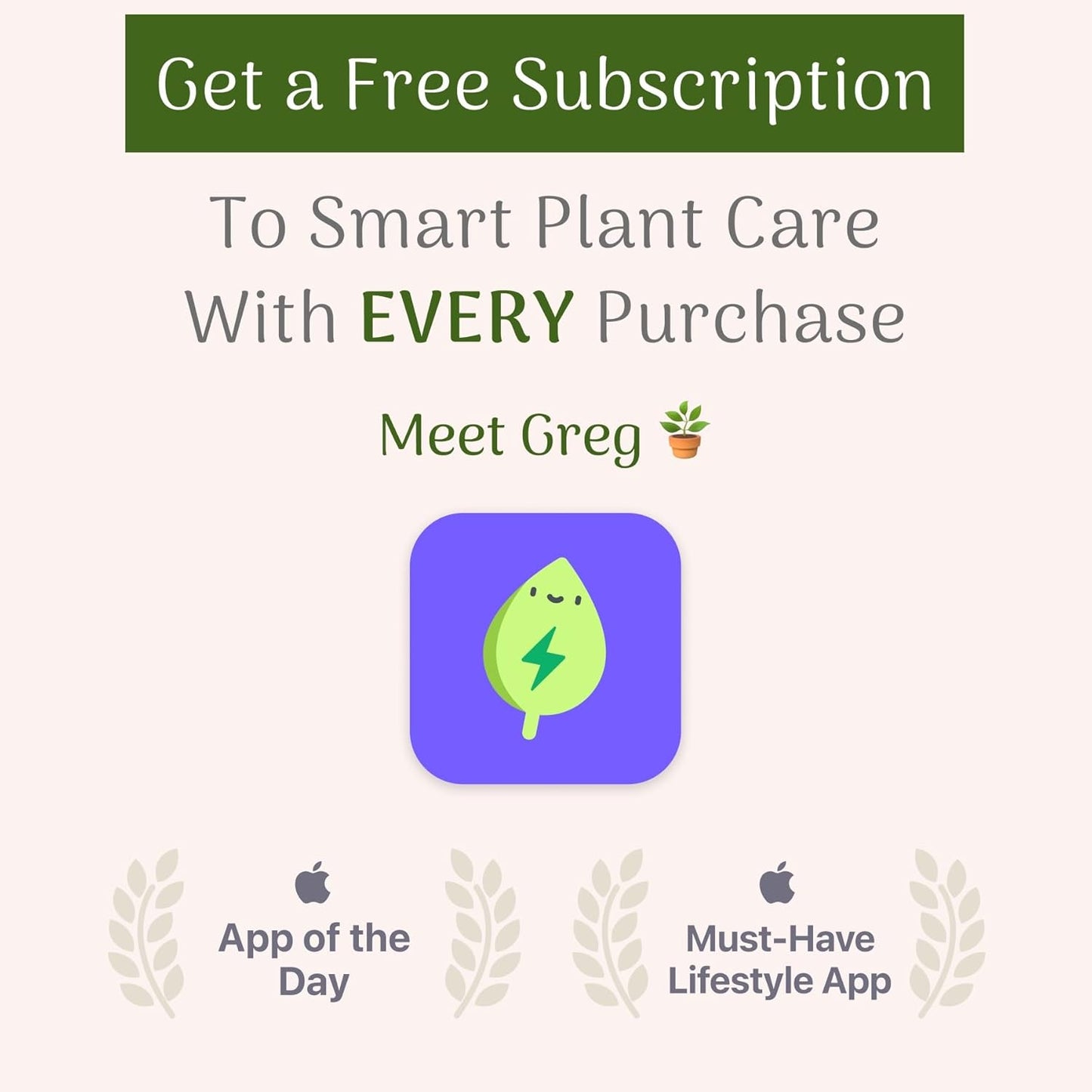 American Plant Exchange Summer Sunset Jasmine – 6-Inch with Pot – Live Fragrant Flowering Vine, Easy Care Plant for Home, Garden, Patio, or Balcony Decor