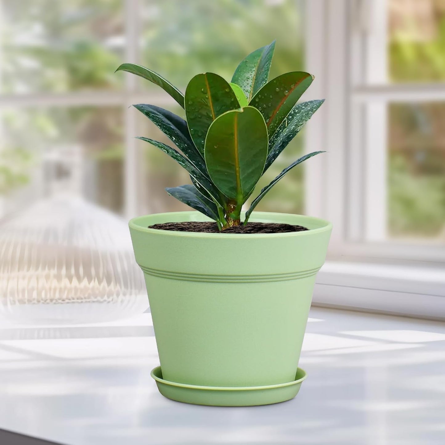 6 inch Plastic Nursery Pots, 16 Pack Plant Pots for Indoor Outdoor Plants, Flower Pots with Drainage Holes and Saucers, Decorative Seedling Starter Planters for House Plants, Colorful