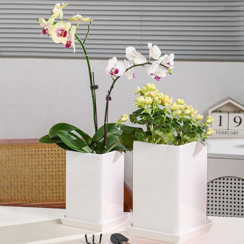 Square Plant Saucer 6 Inch 2 Pack,Plant Trays for Pots, White Ceramic Plant Saucers for Indoors Outdoors, Plant Drip Tray 4 6 8 10 12 14 Inch