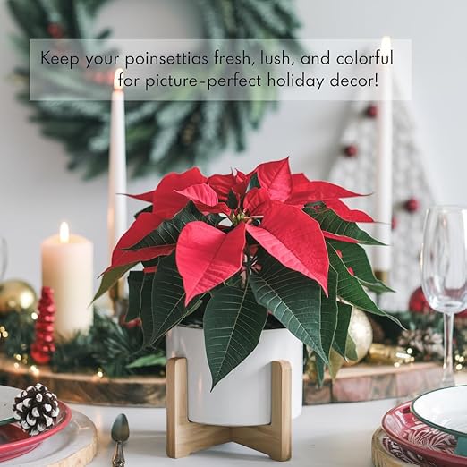 Gardenera Premium Holiday Plant Food Mist - 3-1-2 Liquid Fertilizer Spray for Poinsettias, Christmas Flowers, and Greenery - 8oz