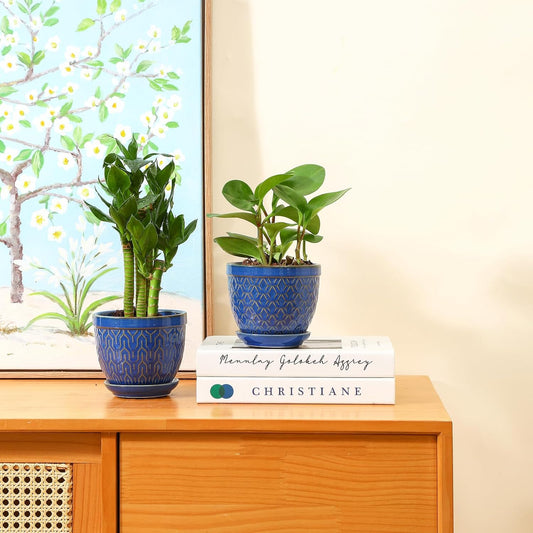 Sureasy Ceramic Plant Pots, 4.7 Inch Flower Pots for Indoor Plants, Succulent Pots with Saucer and Drainage Hole, Decorative Planter for Succulent, Cactus, Set of 4, Blue