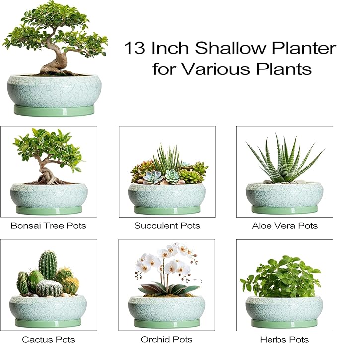 Bonsai Pots - 13 Inch Ceramic Succulent Pots for Indoor Outdoor, Large Shallow Planter with Drainage Hole and Saucer, Round Flower Succulent Planter, Patio Decor, Gifts for Women, Green