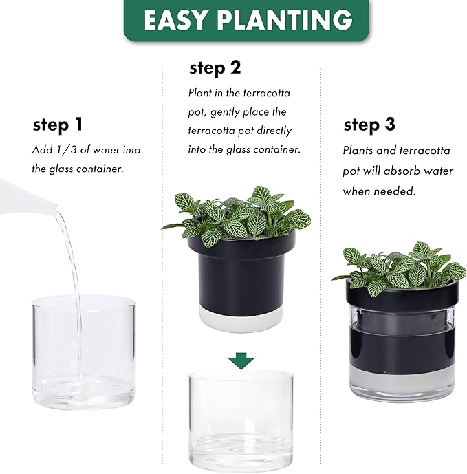 Phoenix Vine 4 Inch Self Watering Terracotta Planter, Black Terracotta Clay Pot with Glass Reservoir for Indoor Plants, Herbs, Flowers, Set of 1, 52-C-E-1
