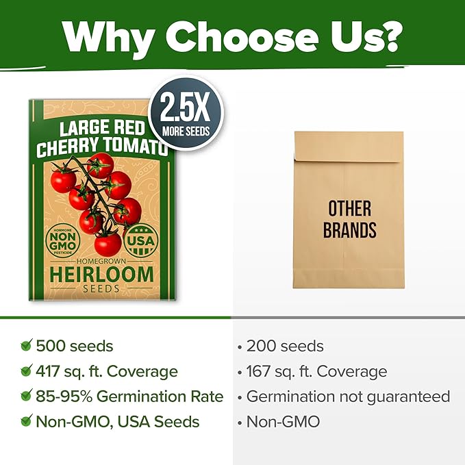 HOME GROWN Large Red Cherry Tomato Seeds Pack– 500 High Germination Heirloom Seeds – 𝗡𝗢𝗡-𝗚𝗠𝗢 𝗨𝗦𝗔 Vegetable Seeds for Garden,Homestead & Self-Sufficient Growing(Solanum lycopersicum)