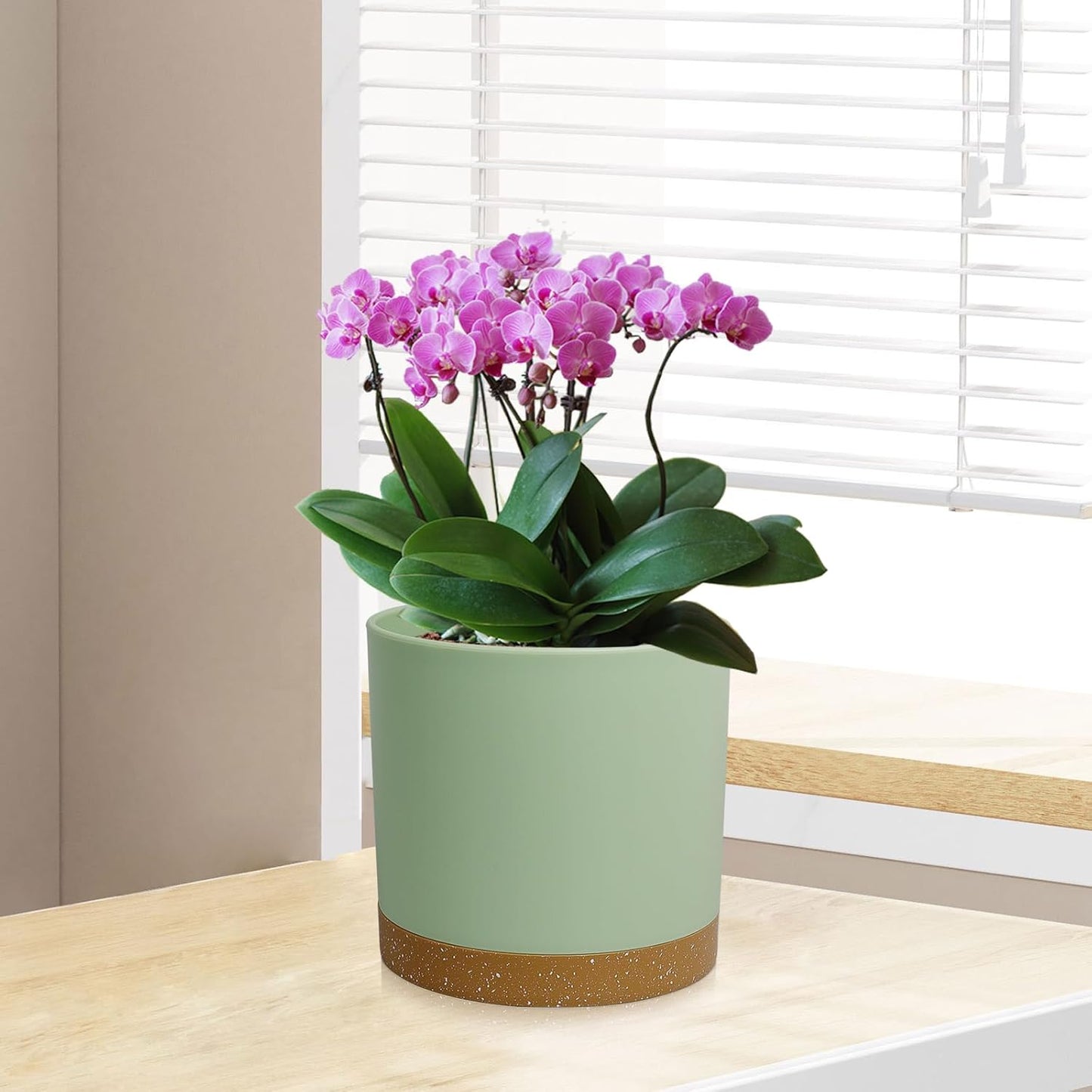 3 Pack 6/5/4 inch Cylindrical Flower Pots, Modern Small Round Plastic Plant Pots with Drainage Holes & Saucers, Clean and Refined Planter Pots for Outdoor, Indoor & Office Decor (Green Brown)