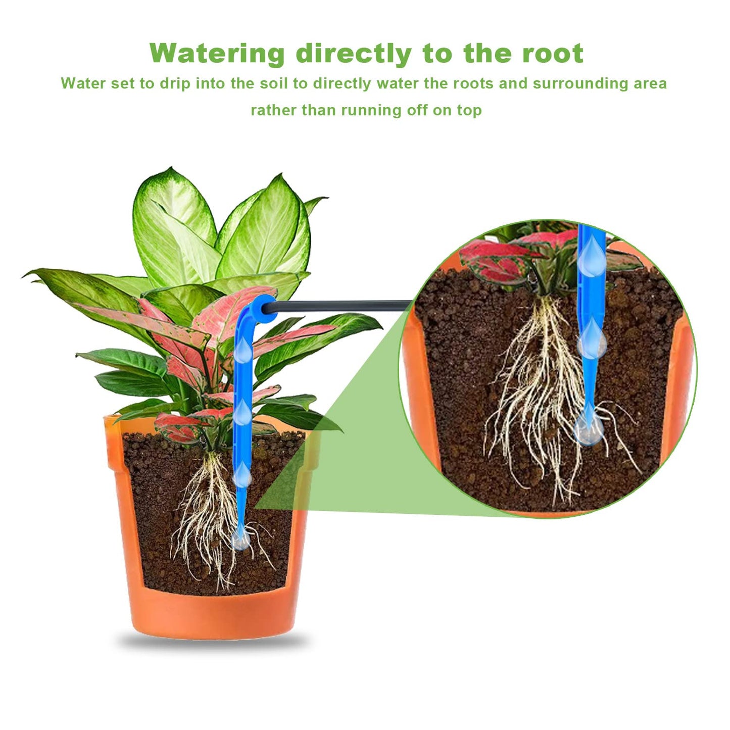 Lewisia 10W Solar Automatic Drip Irrigation Kit Auto Watering System 115FT for 30 Plants