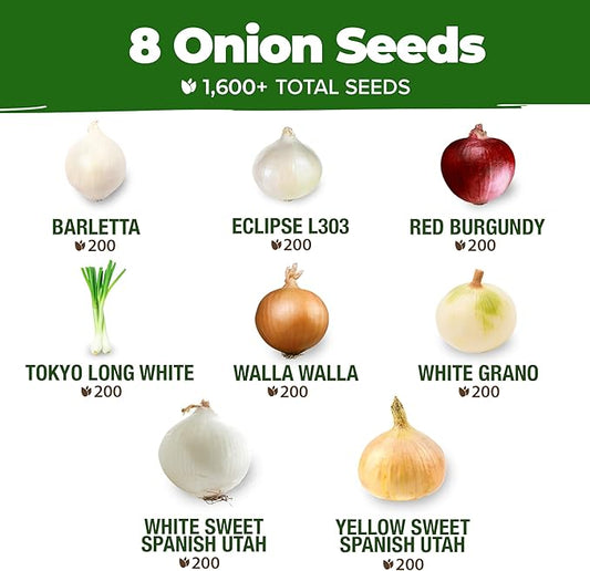 HOME GROWN π¨π¦π π£π₯ππ ππ¨π 8 Onion Seeds for Planting β 1,600 Heirloom π‘π’π‘-ππ π’ Vegetable Seeds β Grow Sweet, Yellow, Red, Spanish, Green & Vidalia Onions in Outdoor or Indoor Home Garden