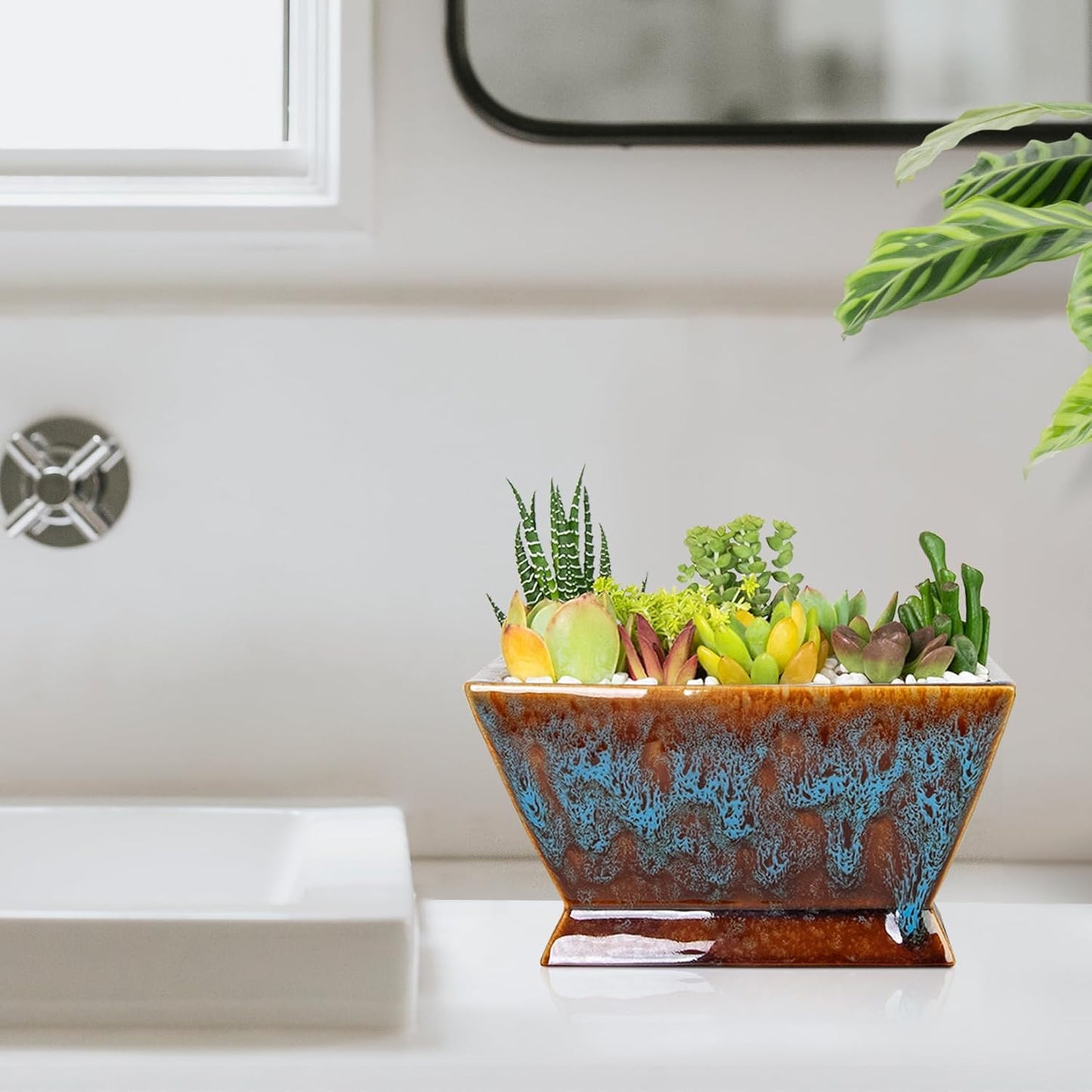 ARTKETTY Succulent Pots - 7 Inch Large Plant Pot with Drainage, Shallow Ceramic Succulent Planters for Indoor Outdoor Plants, Modern Cactus Bonsai Plant Container Decorative Home Office