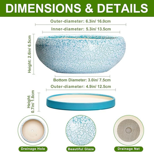 Bonsai Pots Small - 6 Inch Succulent Pots with Drainage Hole and Saucer, Succulent Planters for Indoor Outdoor, Shallow Plant Pot, Round Bonsai Planter, Office Decor, Plant Lover Gifts, Blue