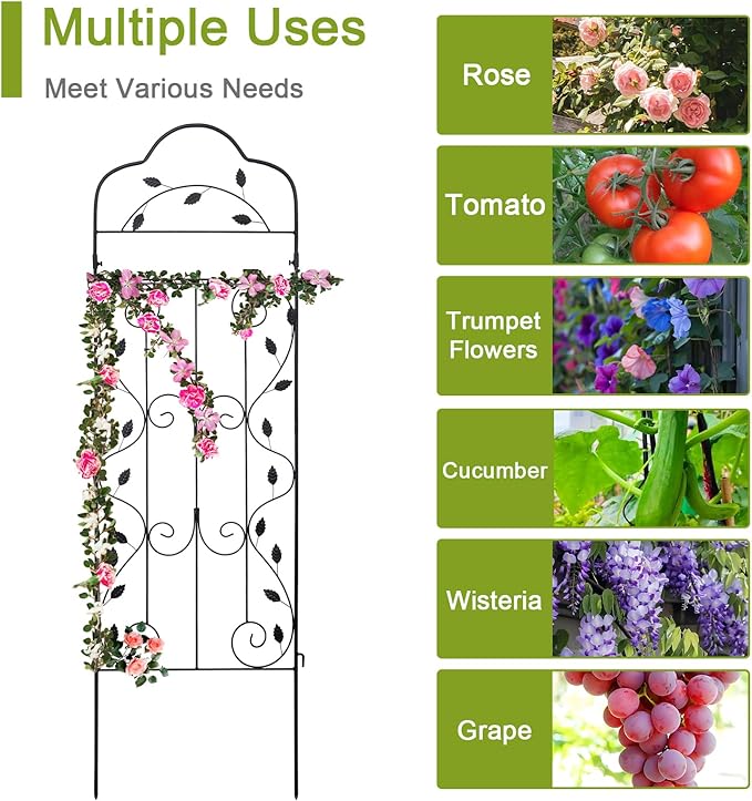 hogardeck Metal 60 * 18in Garden Trellis 2-Packs for Climbing Plants Flowers Vegetables Planting Arched Outdoor Decoration for Courtyards Lawns Gardens