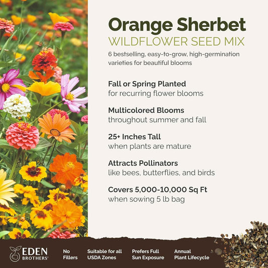 Eden Brothers Orange Sherbet Flower Mixed Seeds for Planting, 5 lb, 2,400,000+ Seeds with Cosmos Picotee, Bright Lights | Attracts Pollinators, Plant in Spring or Fall, Zones 3, 4, 5, 6, 7, 8, 9, 10