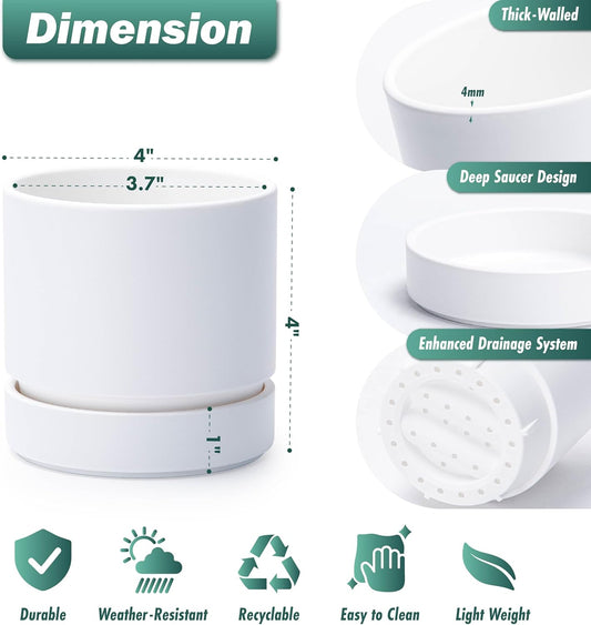 Phoenix Vine 4 Inch Planter Pot with Drainage Hole & Saucer, Deep Water Catch Tray, Straight Cylindrical Round Pot for Plants, Matte White, Pack of 6, 23-B-R-6