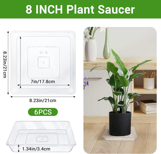 GREANER Square Plant Saucer, 8 Inch Plant Trays for Indoors No Holes, Clear Water Trays for Pots, Durable Flower Pot Saucers for Indoors and Outdoors(6 Packs)