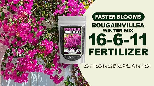 Fertilizer Commercial Grade | Bougainvillea Winter Mix 16-6-11 | 1 Pound | Custom Professional Mix | Cold-Season Bloom Formula | Controlled Release Nutrition | Micronutrients | Vivid Color & Growth