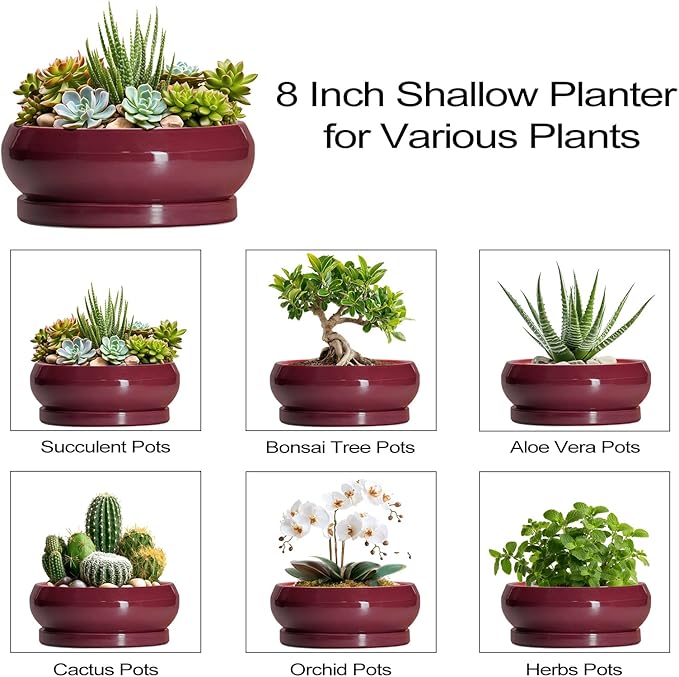 Succulent Pots - 8 Inch Bonsai Pots for Indoor Outdoor, Shallow Ceramic Planter with Drainage Hole and Saucer, Round Flower Succulent Planters, Apartment Decor, Gardening Gift, Red
