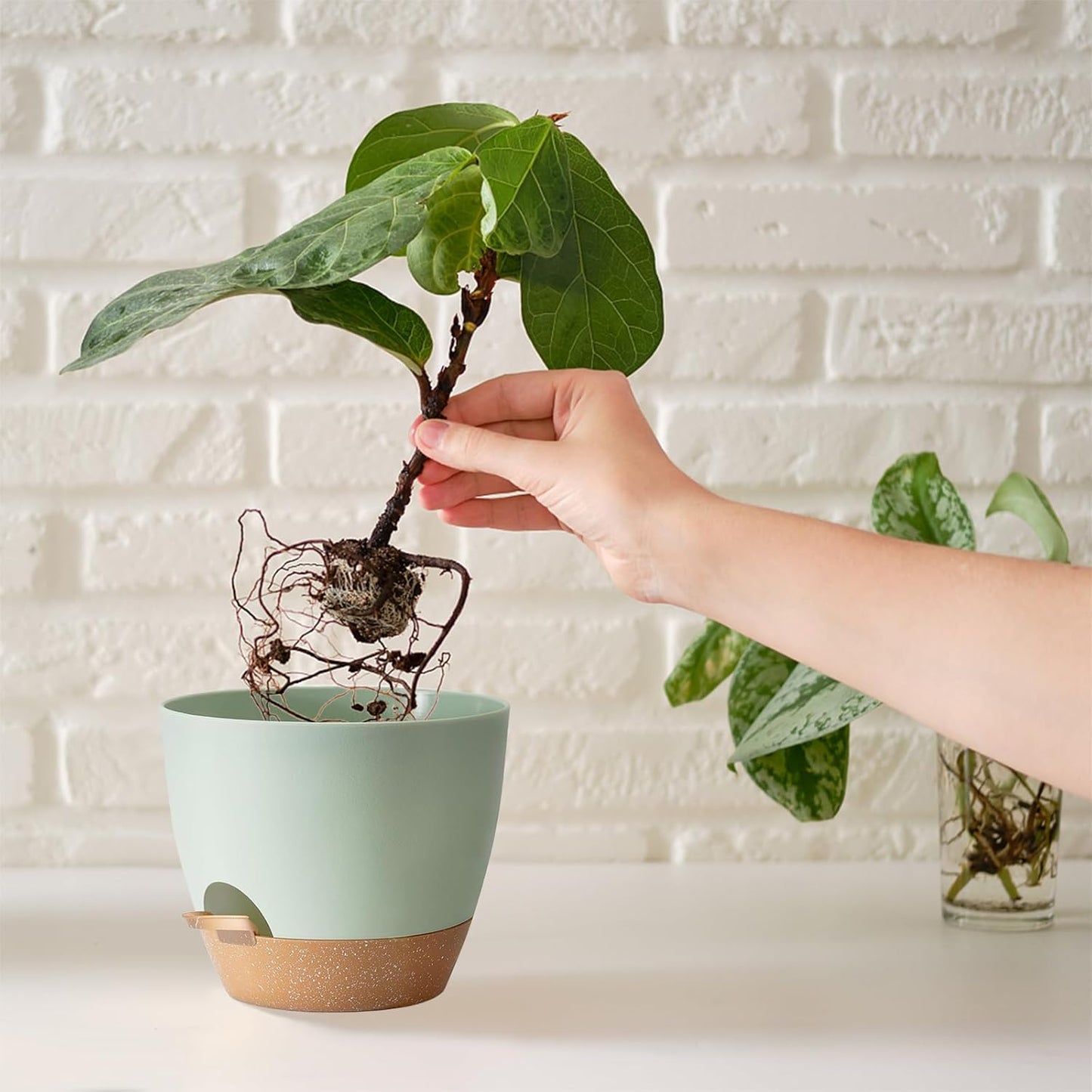 Indoor Plant Pots With Drainage Holes and Saucers Planting Pots for All HousePlants Green Plastic Flower Pots with Drainage Hole Self Watering Plant Pot Gift Idea For Home Decor Succulent Pots