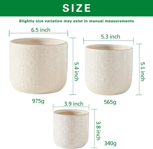 Docrin Ceramic Plant Pots Indoor:6.5+5.3+4 Inch Planters with Drainage Holes for Home /Office - Set of 3 / White