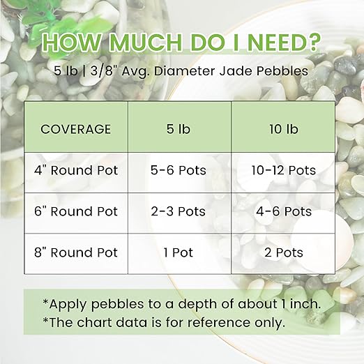 SIDONG 5 LB Jade Pebbles, 2/5 Inch Natural Decorative Polished Jade Stones, Jade River Rocks for Succulents, Cactus, Vases, Indoor Plants, Garden Landscaping, Bamboo