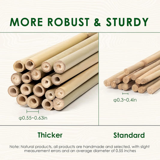 Bamboo Stakes 4 Feet Thicker Garden Stakes with Garden Twine, Diameter of 0.55in Natural Plant Stakes Bamboo Poles for Climbing Plants Support Tomato Cage - 20 Pack Bamboo Sticks for Plants
