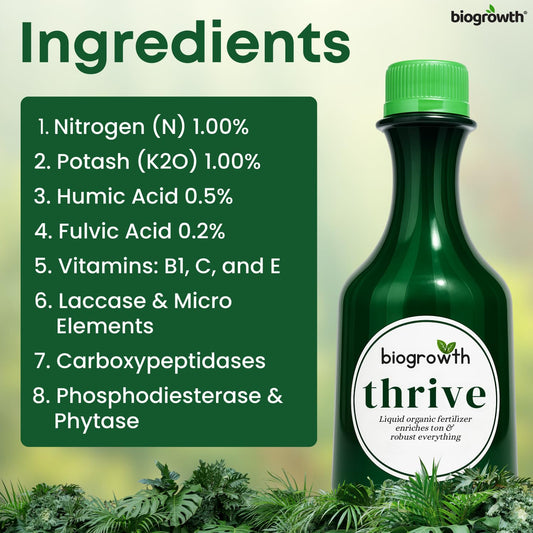 Concentrated Liquid Enzyme-Powered Organic Plant Food (8.45oz) | Enzyme-Rich Fertilizer Growth Booster for Bigger Buds & Stronger Roots, Ideal for Indoor Pots & Outdoor Gardening